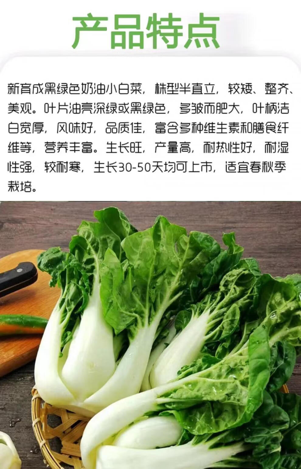 奶白菜種子小白菜青菜黑油菜春季四季蔬菜種籽秋矮腳秋播種孑冬季 矮