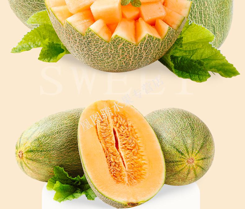 西州蜜晓蜜25号蜜瓜当季新鲜水果4个装67kg