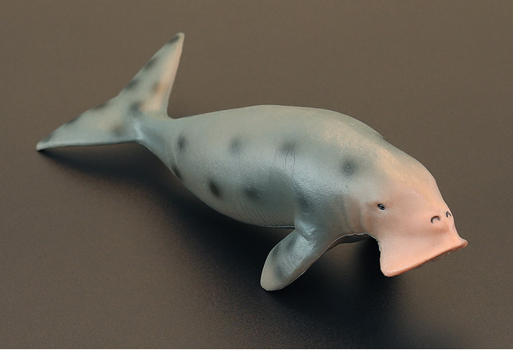 实心儿童仿真动物玩具模型 海象 海豹 海牛 儒艮 鳍足认知礼物摆件