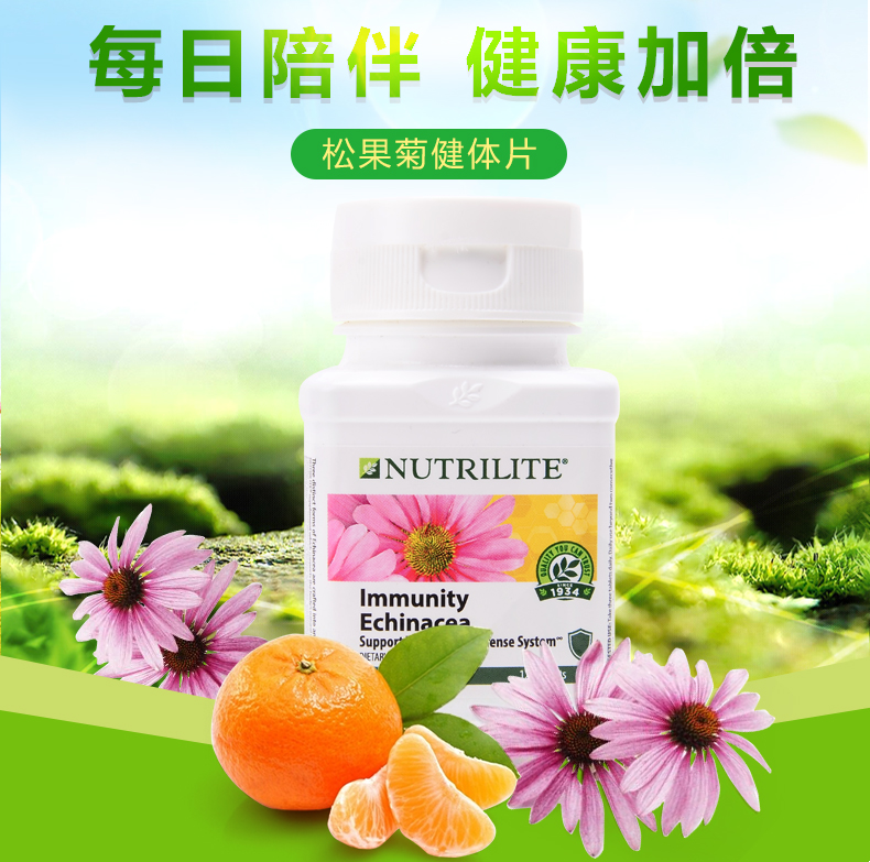 美国安利纽崔莱松果菊健体片120片 紫锥花菊提取物精华体质【图片