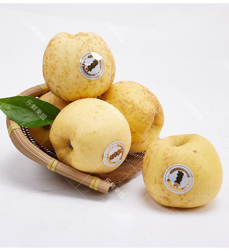 顺丰直达黄金维纳斯苹果3斤黄胖子冬恋苹果甜脆苹果新鲜坏果包赔70mm
