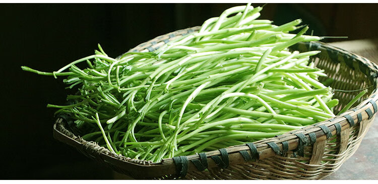 洪湖新鲜藜蒿泥蒿净芦蒿萎蒿农家应季蔬菜现摘现发7斤