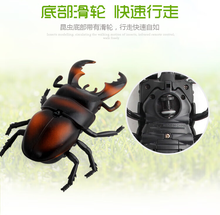 f78b79bda90348d8.jpg