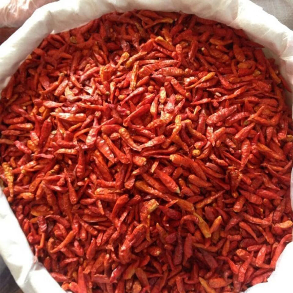 辣椒干干辣椒朝天椒干辣椒特辣贵州特辣辣椒段3斤整个干椒微辣