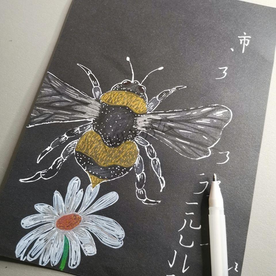 黑卡纸白色的笔绘画高光笔美术勾线笔金色银色白色书法练字笔fhc金色2