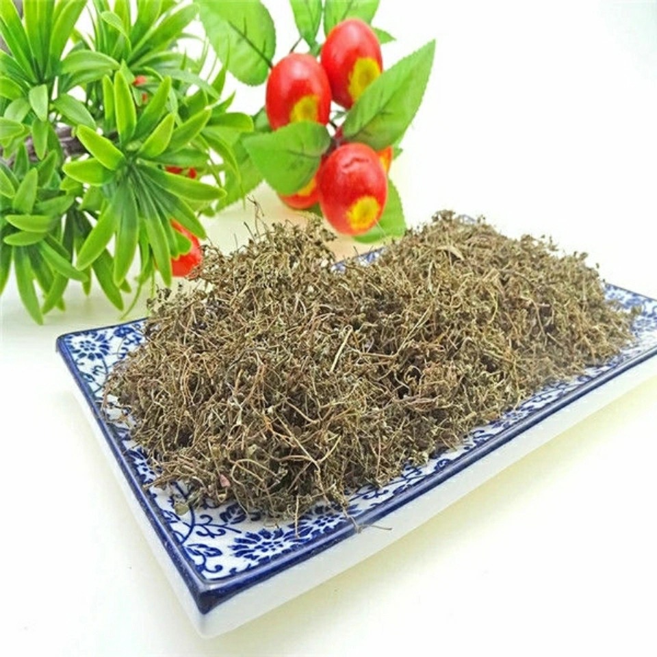 地锦草 铺地草中药材500g奶浆草 奶汁草红丝草卧蛋中草药【图片 价格