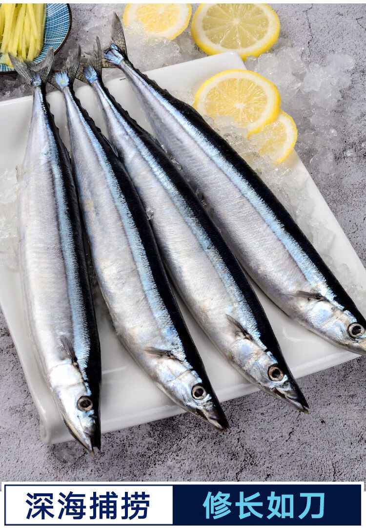 深海海鲜烧烤食材日式秋刀鱼鲜活水产海鱼 克雷蒙 8斤装【图片 价格
