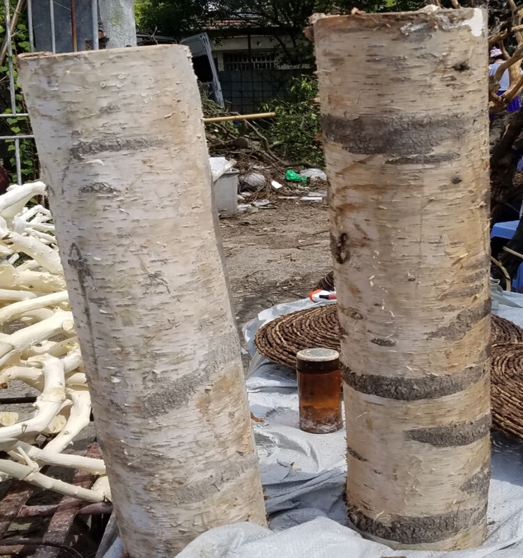 白桦树白桦树干天然木段实木装饰树墩造景木桩栅栏围栏原木干树枝80