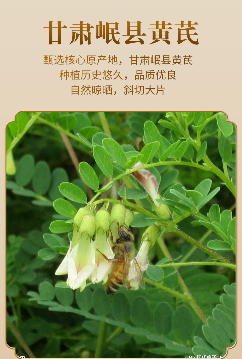 甘肃黄芷110g克野生特级大片黄茂芷黄氏北芪片中药材泡水 5罐【图片