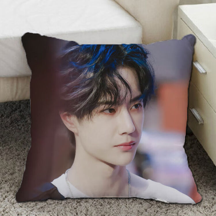 榄茵轻奢王一博周边抱枕陈情令蓝忘机双面明星iy靠枕头生日礼物抖音网