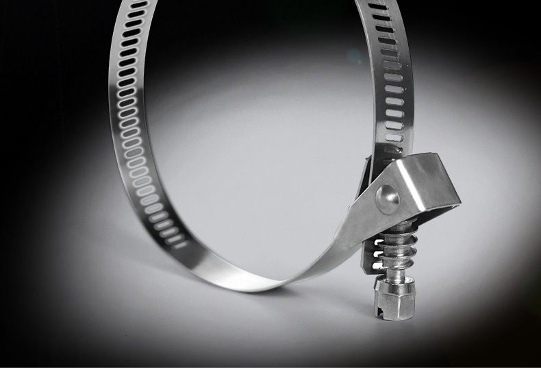 逐月304材质不锈钢活扣扎带快拆卸可松退卡扣喉箍金属卡箍螺丝扎带