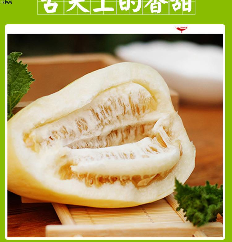 【顺丰直达】正宗青州弥河银瓜甜瓜香瓜非绿宝甜瓜新鲜水果现摘现发 5