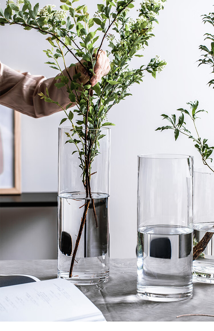 富贵竹花瓶花瓶摆件客厅插花透明玻璃瓶ins风马醉木水养宽口网红大号