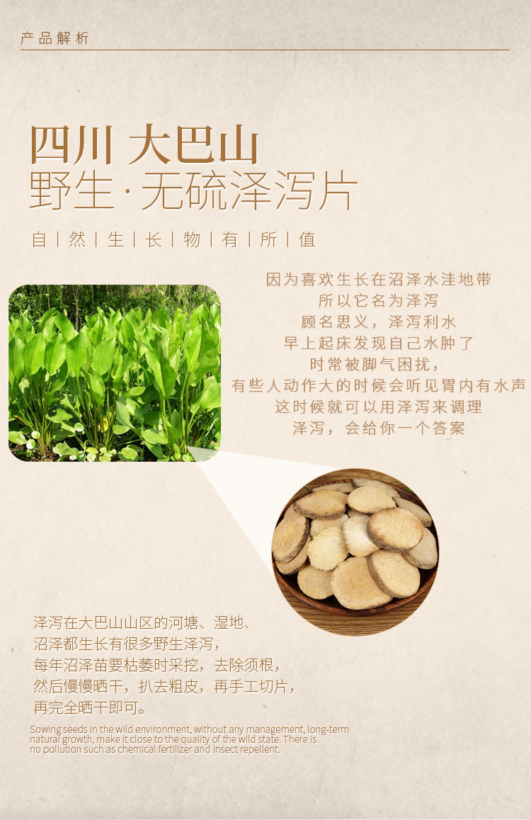 凯史甘斯 中药材泽泻野生无硫大片泽泻磨粉泽泄炒泽泻干片熬汤养生茶