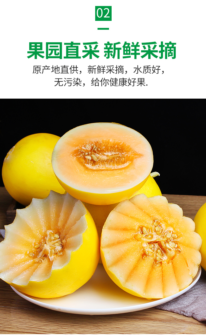 陕西黄河蜜瓜10斤当季整箱沙漠哈密瓜香瓜甜瓜 4500g 【实惠装】(实惠