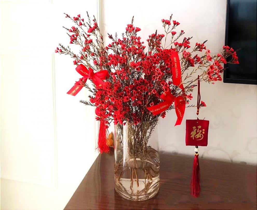 腊梅鲜切花春节年宵花喜庆室内水养瓶插红色澳梅花 红色一束 吸色
