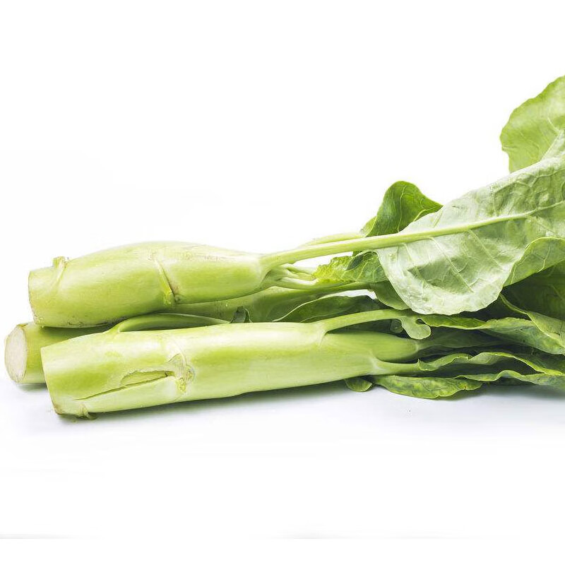 果农侠新鲜蔬菜鸡腿芥兰鸡腿芥新鲜大芥兰大芥蓝生鲜5斤装 3斤装