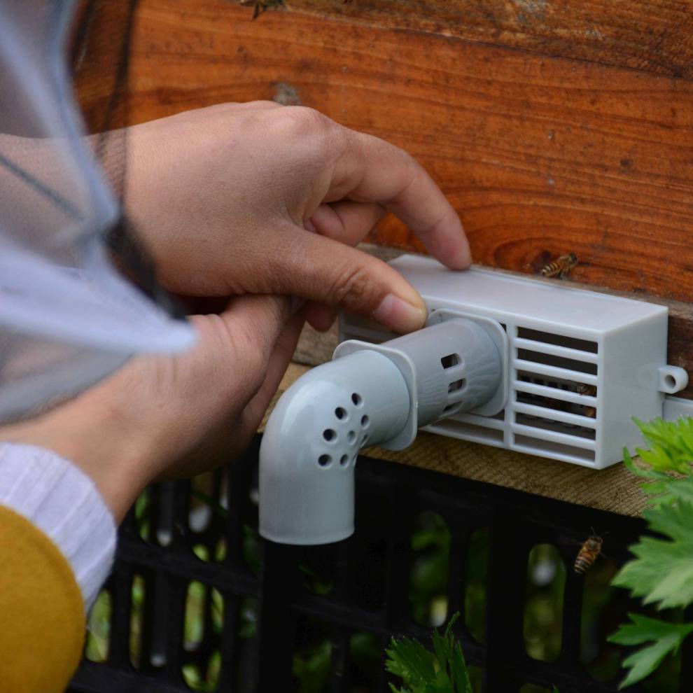 芊阙中蜂自动收王分蜂器 除雄蜂神器 导王管 隔王片 多功能自动分蜂器