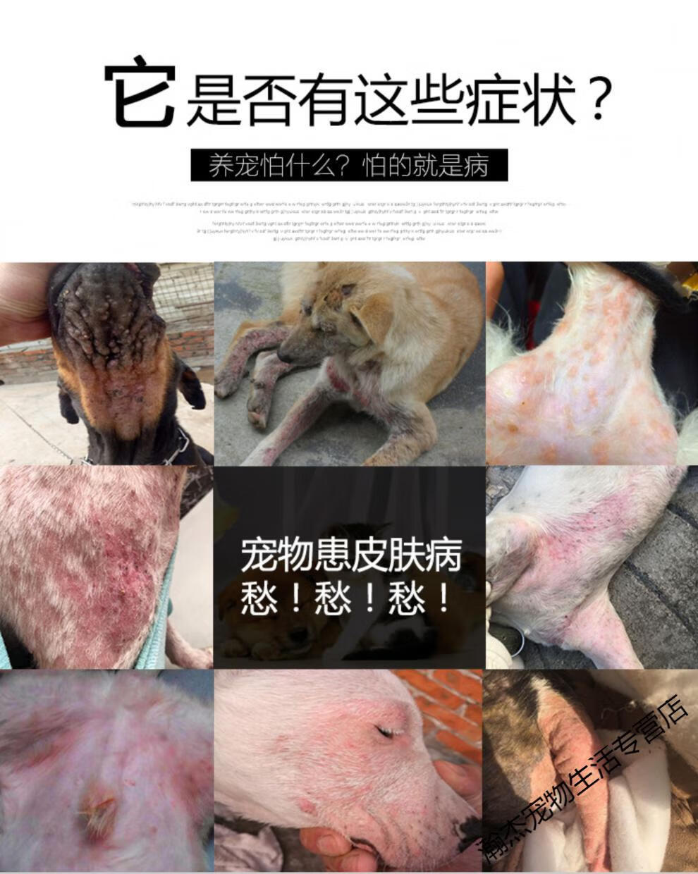 辉瑞通灭多拉菌素口服药10片犬猫皮肤病耳螨虫疥螨蠕形螨【图片 价格