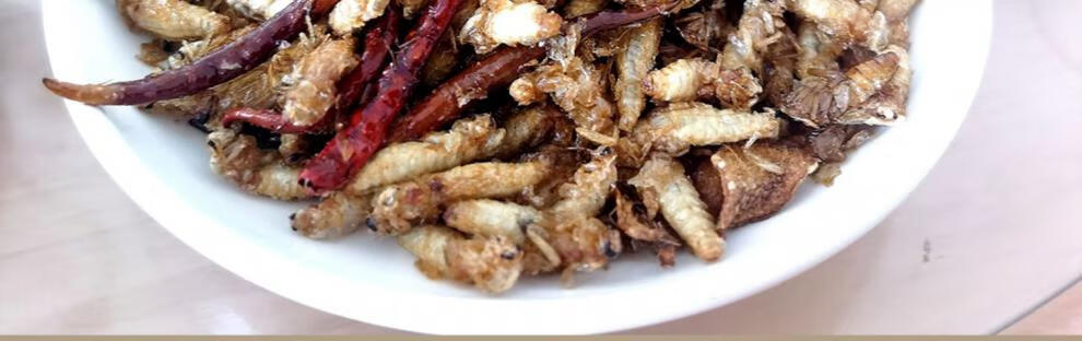 美洲大蠊精粉 顺丰中材全美洲大蠊精粉蟑螂干粉研末500g用蟑螂【图片