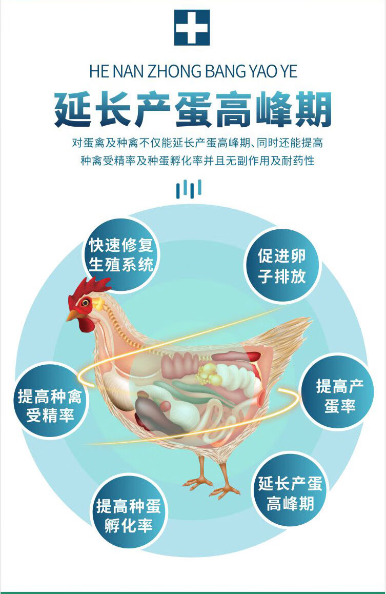 卵管舒产蛋多鸭鹅鹌鹑蛋禽鸡输卵管炎软壳蛋增蛋宝快速提高产蛋量