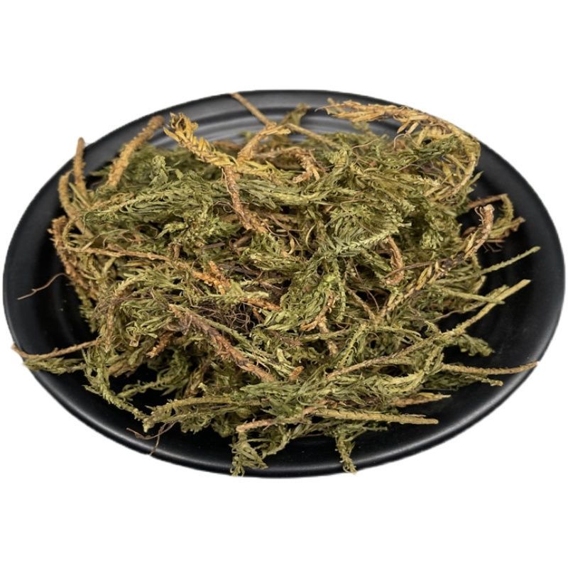 凯史甘斯中药材千层塔蛇足虱子草毛青杠千层塔草无硫15克千层塔试用装