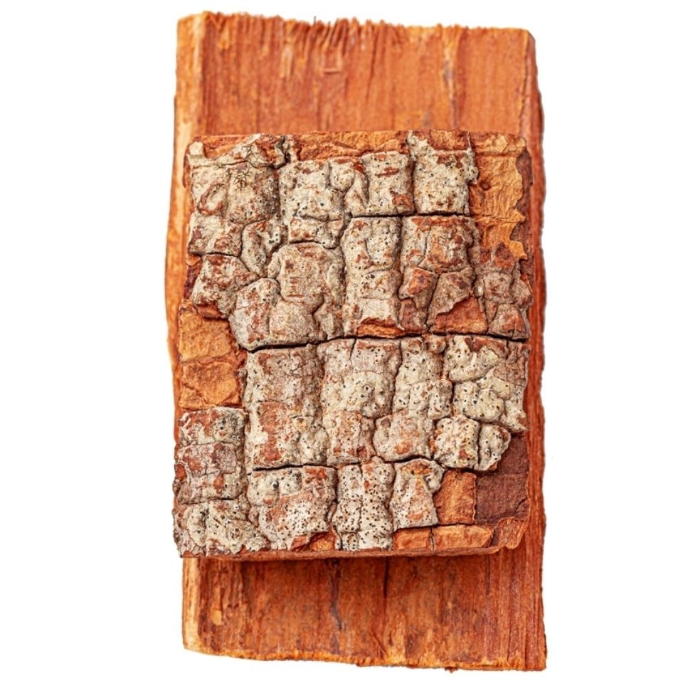 卡宾达树皮野生正宗男性特厚泡酒茶洲安哥拉树皮 精选卡宾达500烤