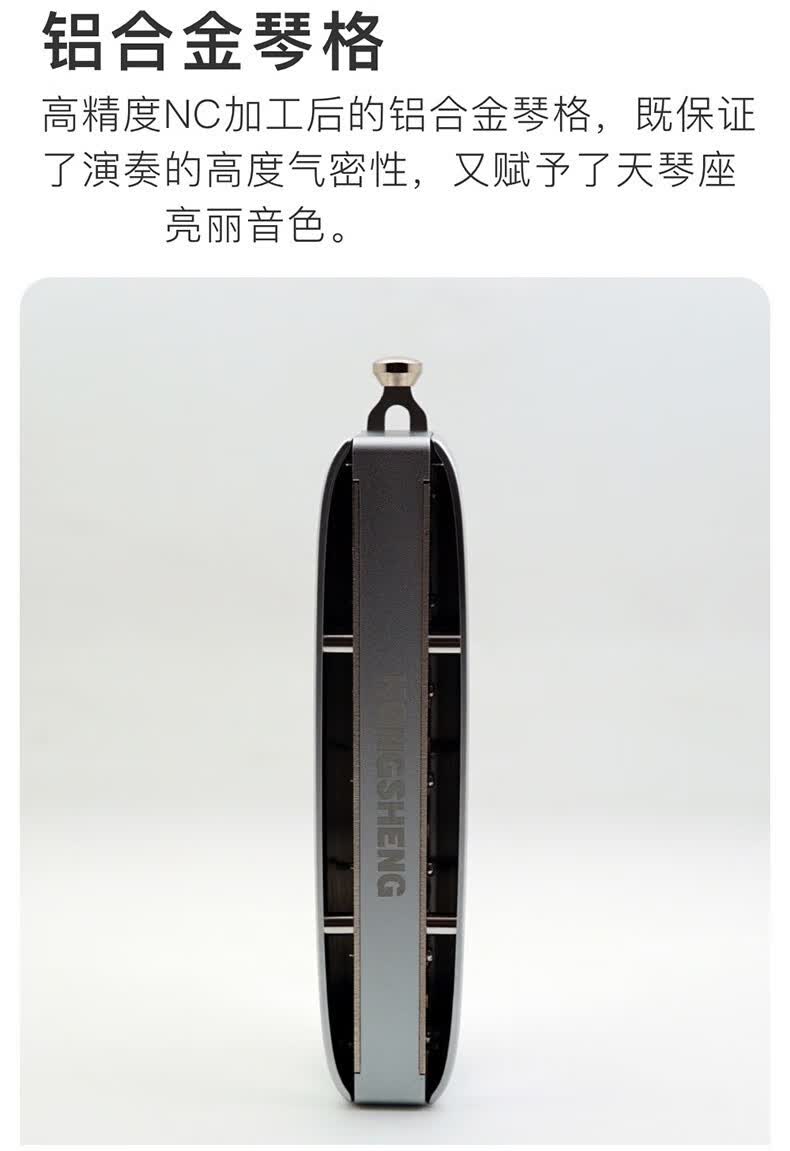 追梦人孔声天琴座半音阶口琴12孔lyra金属琴格新手初学练习演奏级乐器