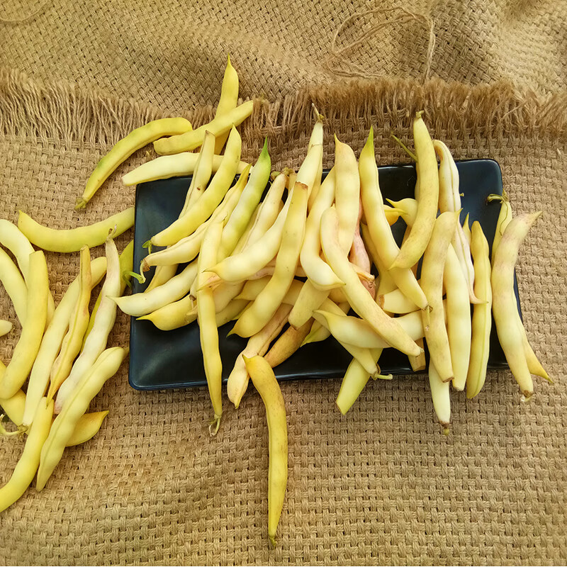 顺丰东北黄金勾油豆角钩豆角新鲜鼓豆角勾勾黄豆角兔子翻白眼4斤水果