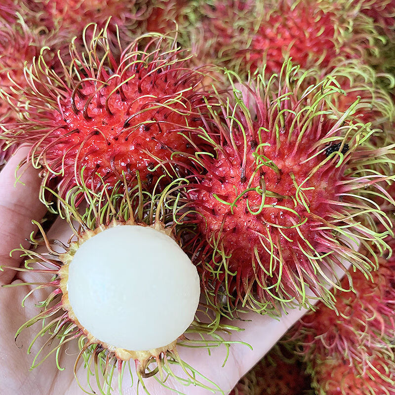 年货精选泰国越南进口红毛丹毛荔枝新鲜毛丹稀有热带水果毛丹果3斤装