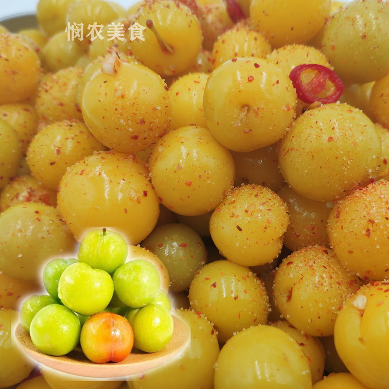 晨臻 灵特产小吃腌李子酸野酸辣广西酸嘢腌制水果特产腌制李子广东省