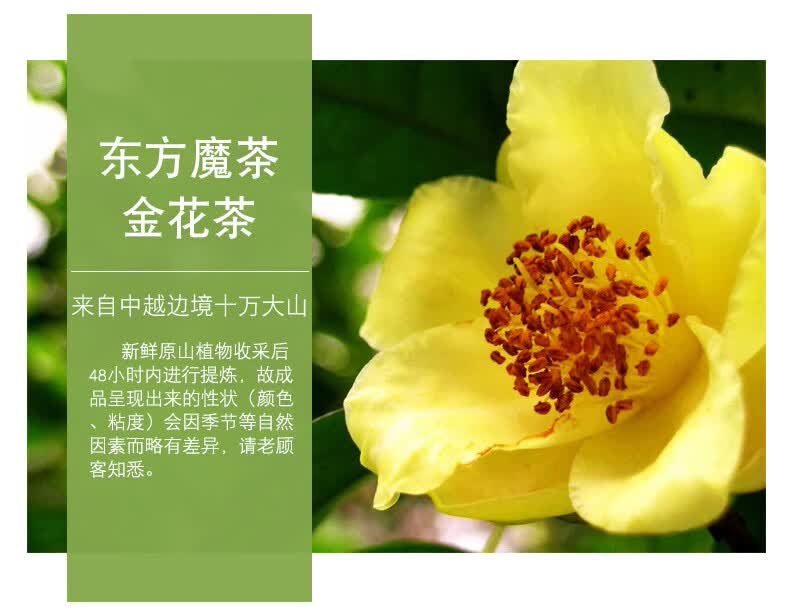 复方金花油野生山茶油婴儿护肤茶油护臀外用擦伤晒伤修复新包装