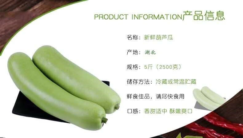 现摘新鲜瓠瓜瓠子瓜新鲜西葫芦瓜夜开花蒲瓜葫子瓜蔬菜5斤瓠子瓜5斤装