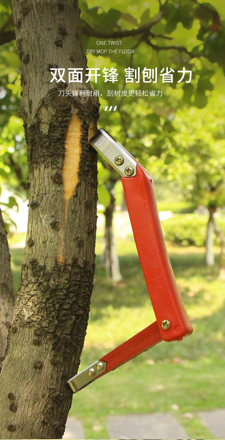 刮树皮专用刀果树刮皮刀多功能树皮刮刀腐烂病刮树挠刮树皮工具 圆头