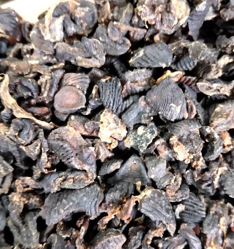 中药材水蛭蚂蝗干500克吊杆清水宽体金线无凡磨粉