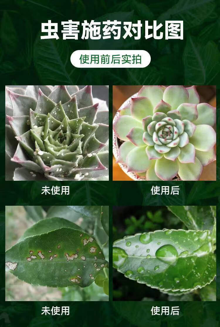 蚜虫杀虫喷剂通用型杀虫剂花卉绿植物除虫多肉蚧壳虫红蜘蛛小黑飞虫