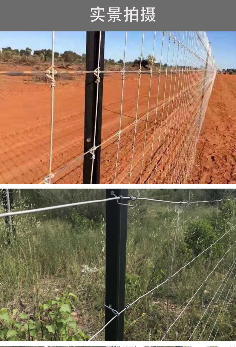 菜地支架牛栏网铁丝网柱立柱y型三角实心柱尖头柱加厚养殖牛羊户外