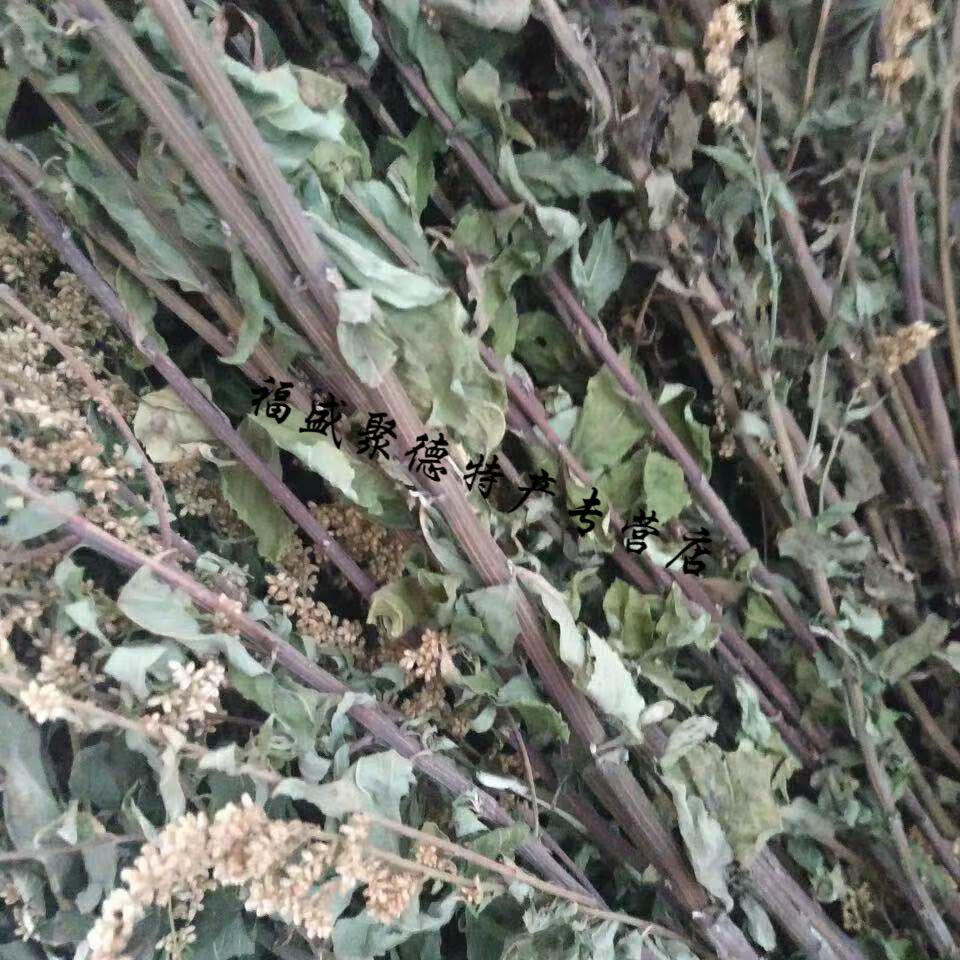 宓蝶 消饭花茶夏天凉茶浙江绍兴诸暨特产六月霜花草茶500g清凉茶 0g清