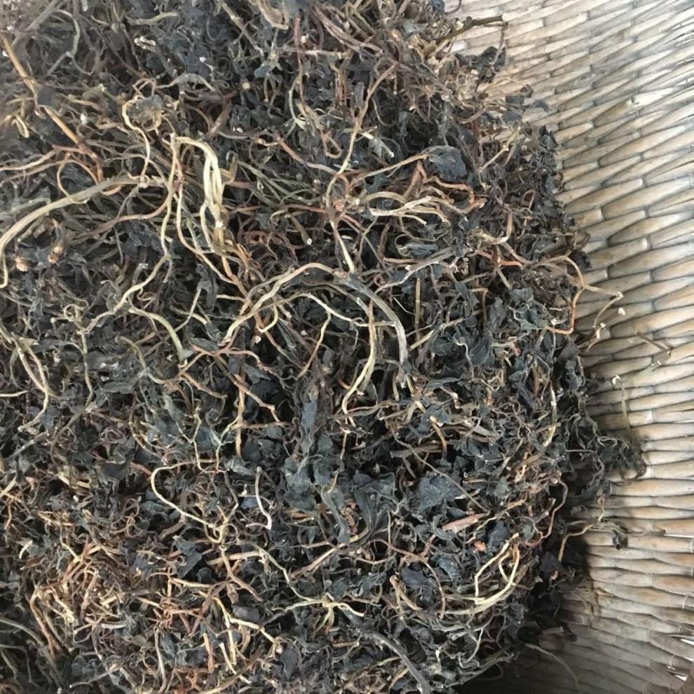 野生马齿笕干马齿苋新鲜 马齿菜 蚂蚁菜 马蜂菜长寿菜食用 专拍(1斤)