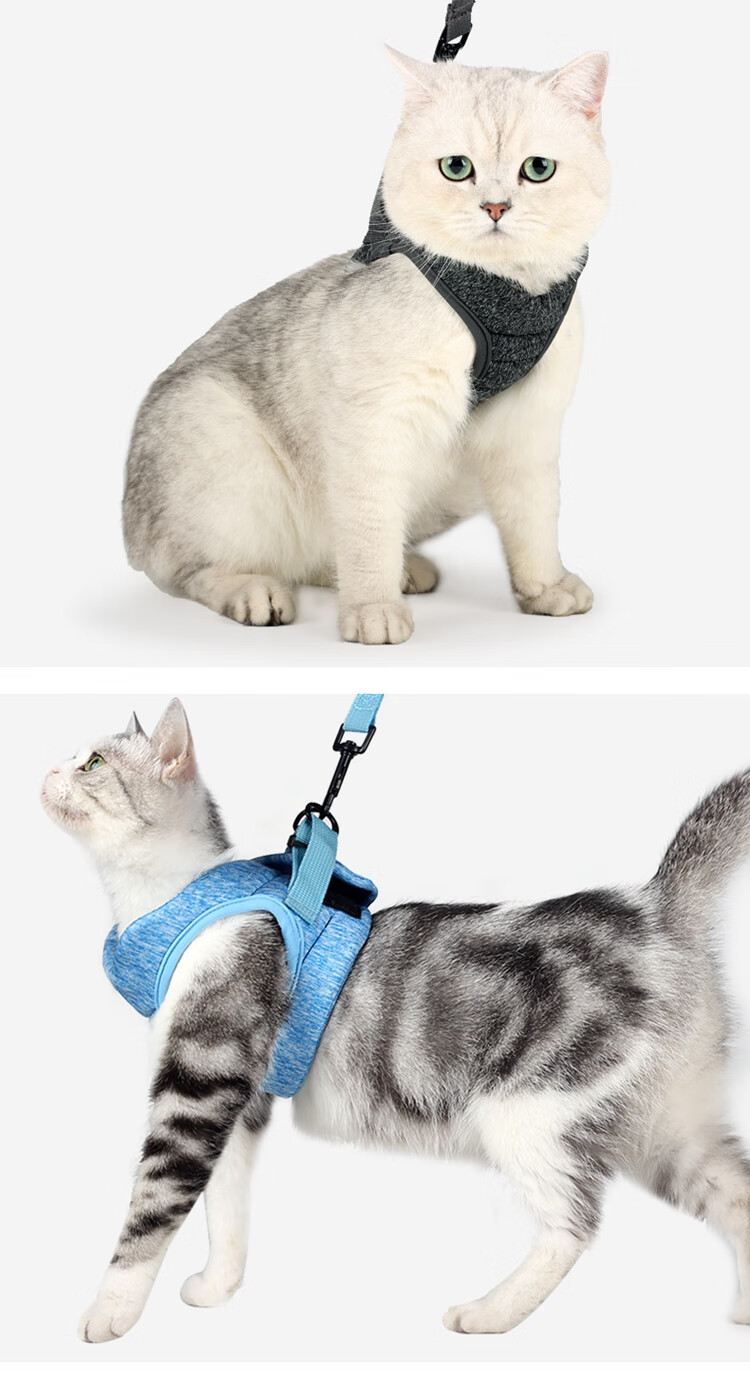 透气可调节猫绳子溜猫链子胸背带猫咪牵引绳背心式防挣脱可爱舒适深