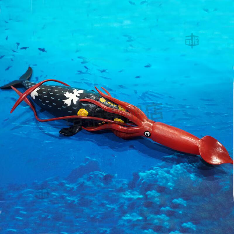 大王乌贼抹香鲸模型鱿章鱼鱿鱼八爪鱼模型巨型枪酸浆海洋玩具蓝鲸大号