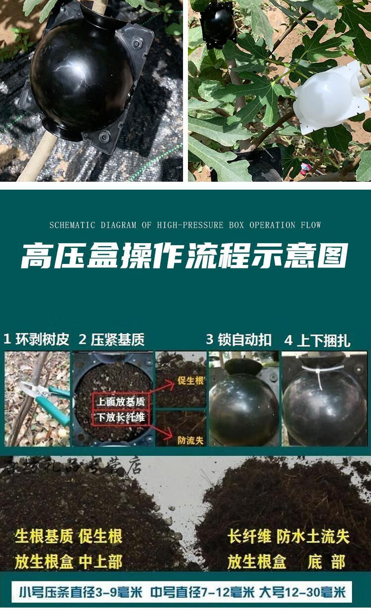 高空压枝盒植物高压繁殖球嫁接高位压条生根盒控根器盆高枝压条盒白色