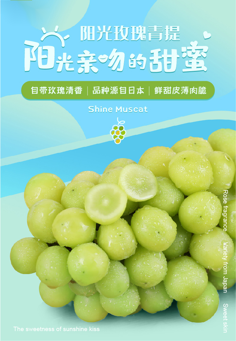 (顺丰)阳光玫瑰葡萄日本引进品种香印青提新鲜无籽水果新鲜当季整箱