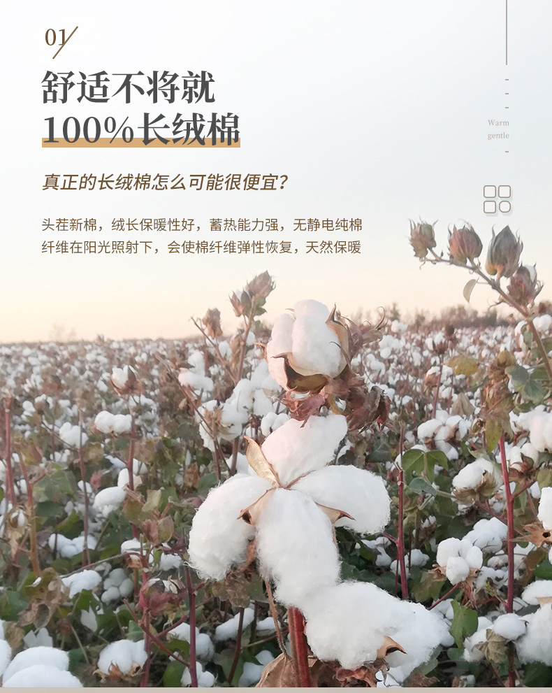 100新疆长绒棉新疆棉花被一长绒棉手工棉被定做棉花被芯被子冬被棉垫