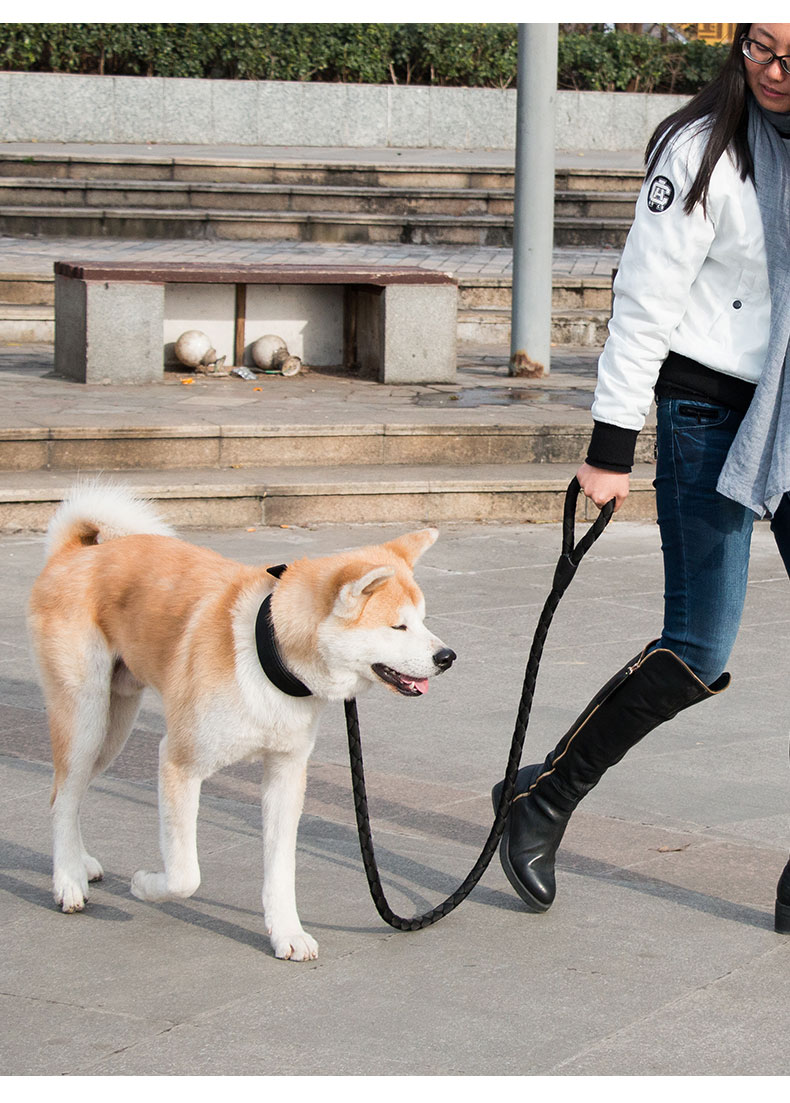 狗狗狗狗牵引绳遛狗狗链子p链防挣脱防爆冲遛狗绳狗链子项圈中型大型