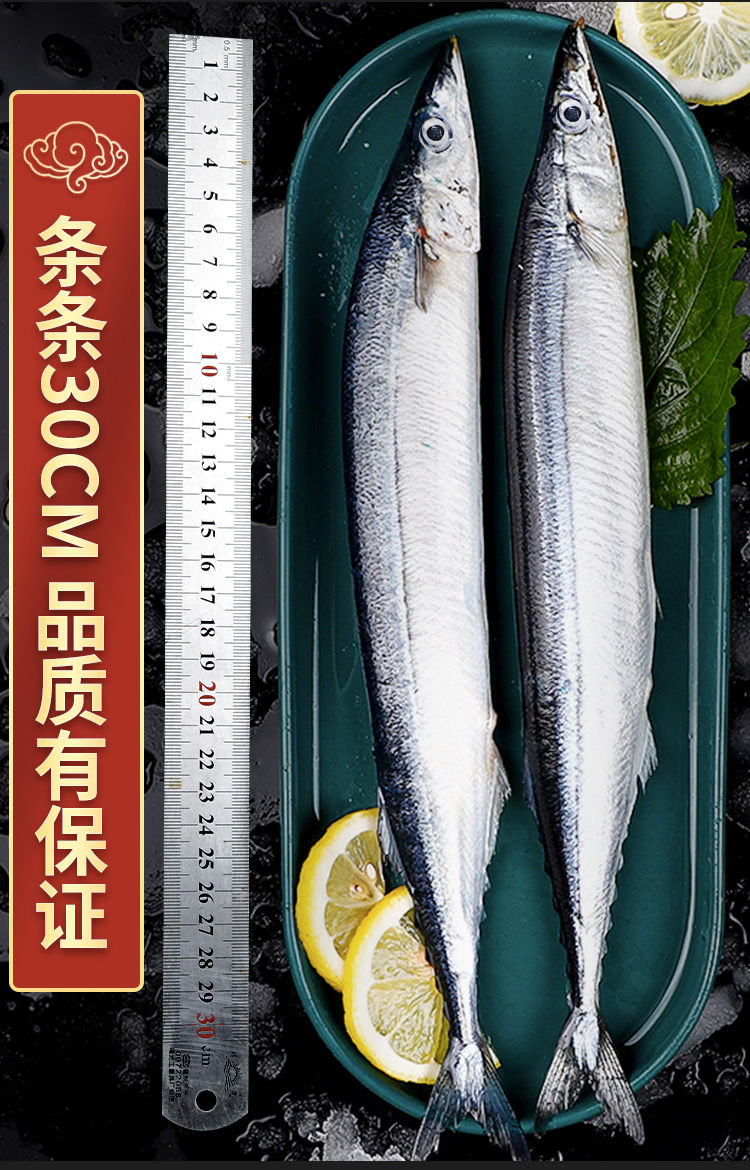 顺丰速运新鲜海捕深海秋刀鱼鲜活冷冻秋刀鱼海鲜日式烧烤食材海鱼水产
