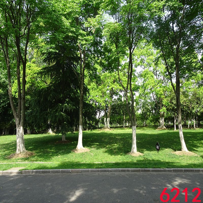 9ff524c8750726f6.jpg