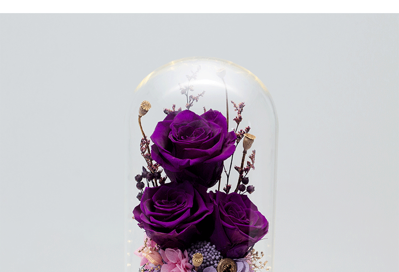 肖战同款roseonly 永生干花玻璃罩礼盒rose玫瑰真花七夕情人节生日