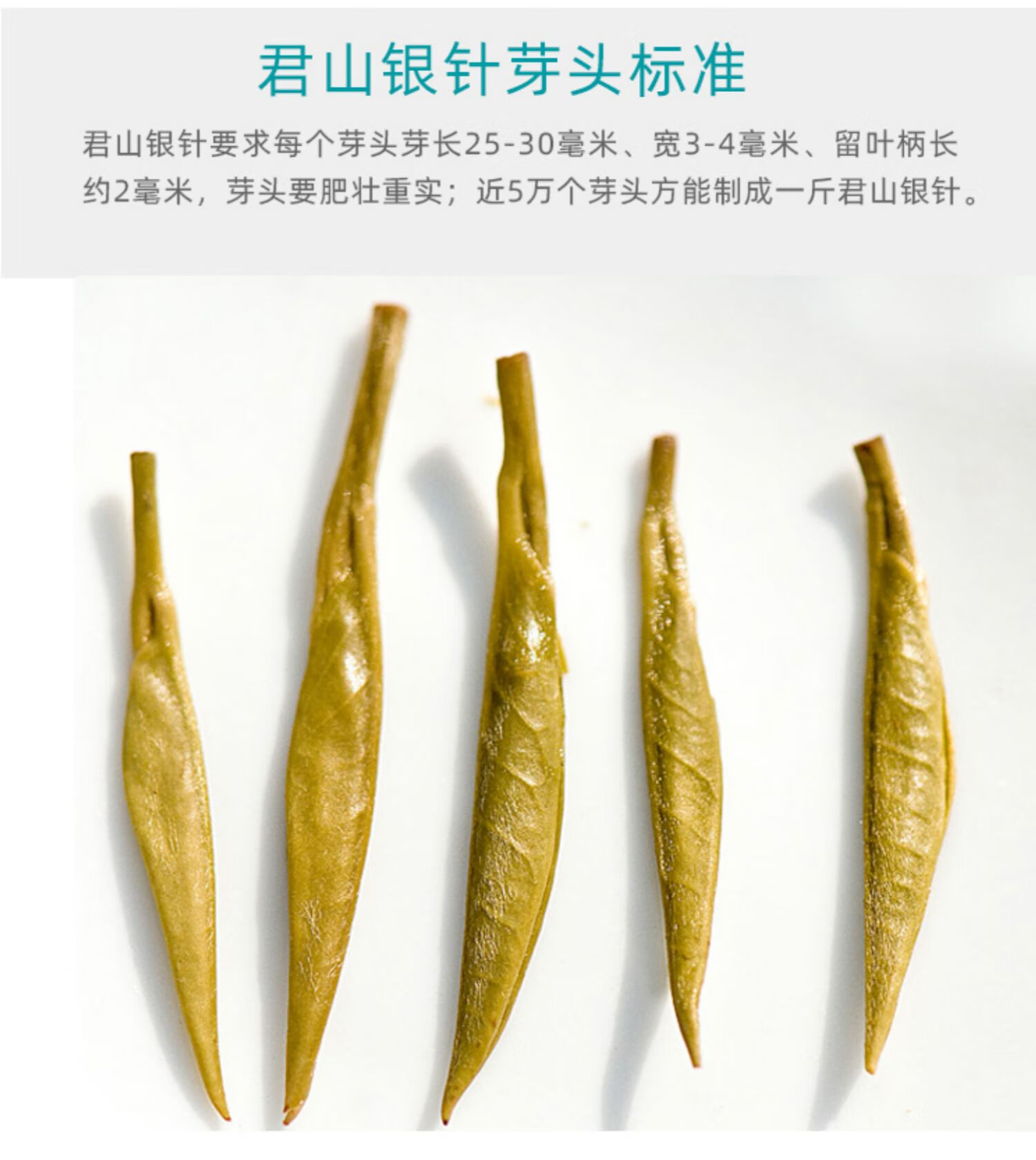 9折君山银针2021明前新茶黄茶黄芽茶岳阳黄牙好茶叶罐装50g装aa