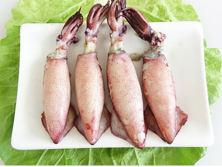 新鲜笔管鱼海兔鲜活海兔灯光生鲜冷冻顺丰3斤装